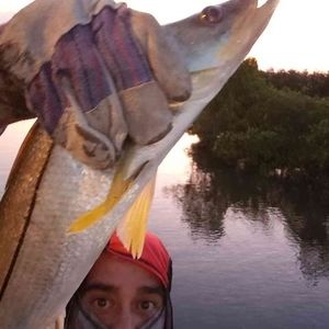 Meet your Posher, Duenas